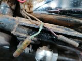 IMG_20250206_194634