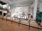 IMG_20250312_114834