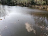IMG_20250403_154033