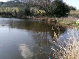 IMG_20250403_154040