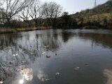 IMG_20250403_154051