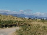 IMG_20250503_145306