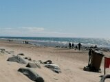 IMG_20250503_150325