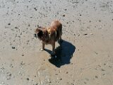 IMG_20250503_151516
