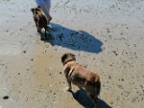 IMG_20250503_151526