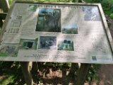 IMG_20250607_093453