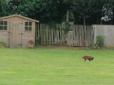 IMG_20250723_142955