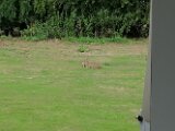 IMG_20250723_150524