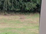 IMG_20250723_150554
