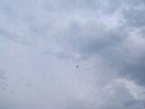 P9080205