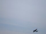 P9080227