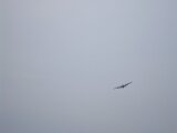 P9080230