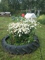 IMG-20170804-WA0005