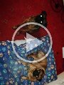 VID-20190101-WA0006