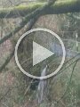 VID-20190317-WA0000