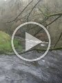 VID-20190317-WA0005
