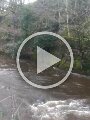 VID-20190317-WA0006