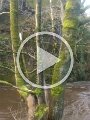 VID-20190317-WA0009