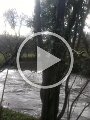 VID-20190317-WA0012