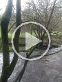 VID-20190317-WA0013