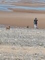 IMG-20210604-WA0004