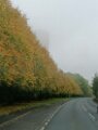 IMG_20231027_130725