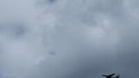 IMG_20260801_122950
